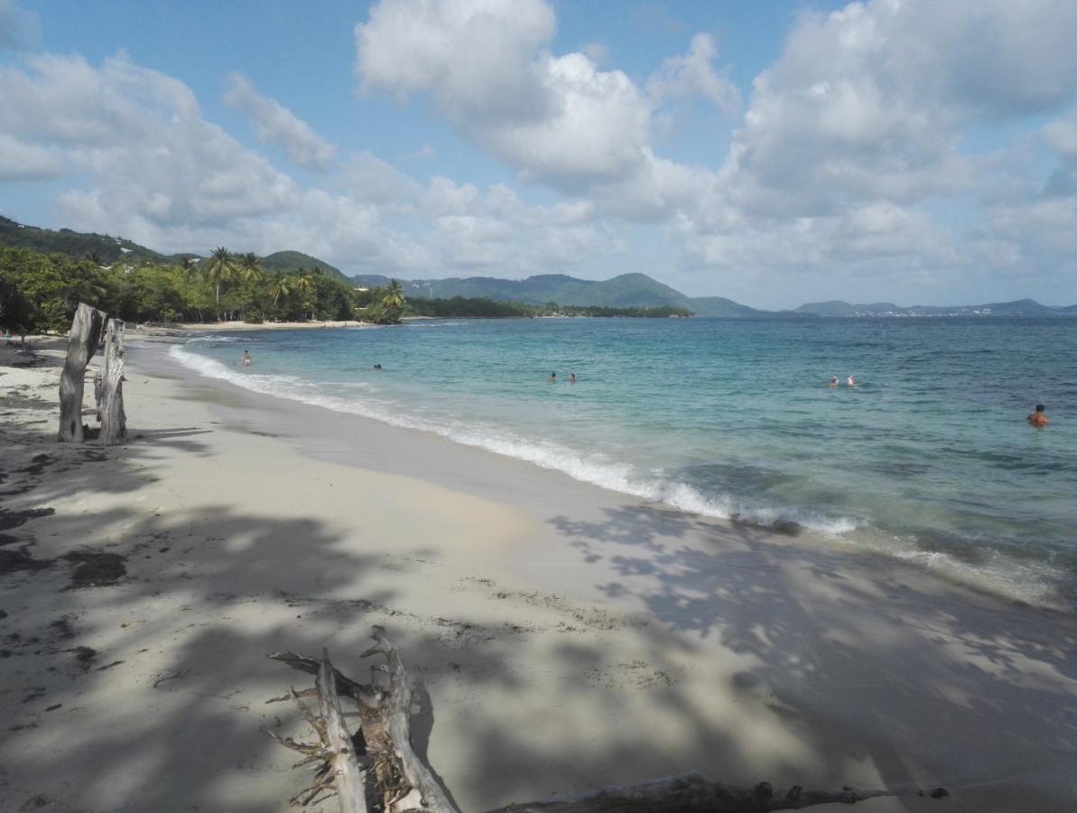 Studio - Le Ti-Colibri - Plages Et Piscine A Sainte-Luce - Martinique - Antilles Εξωτερικό φωτογραφία