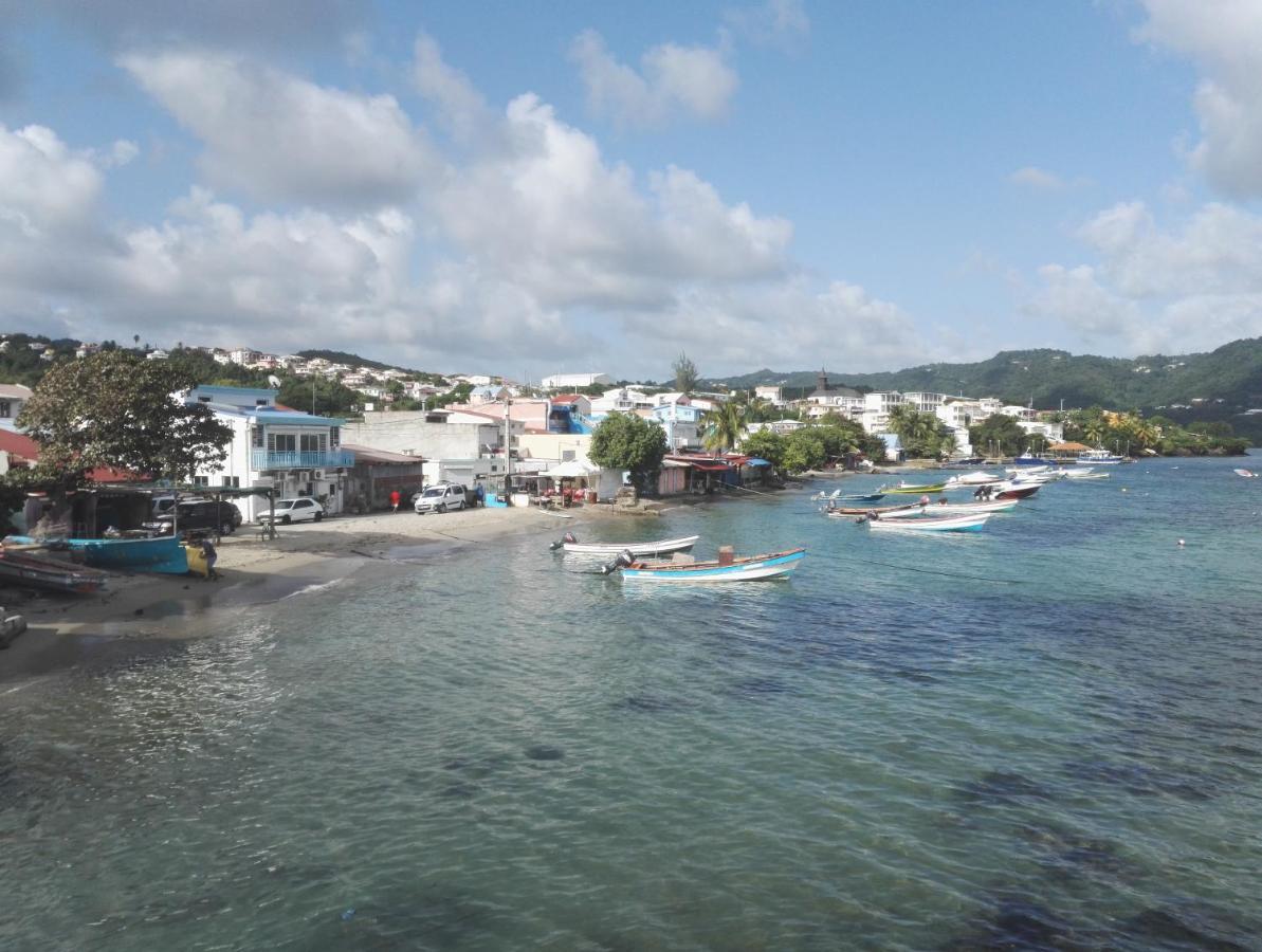 Studio - Le Ti-Colibri - Plages Et Piscine A Sainte-Luce - Martinique - Antilles Εξωτερικό φωτογραφία